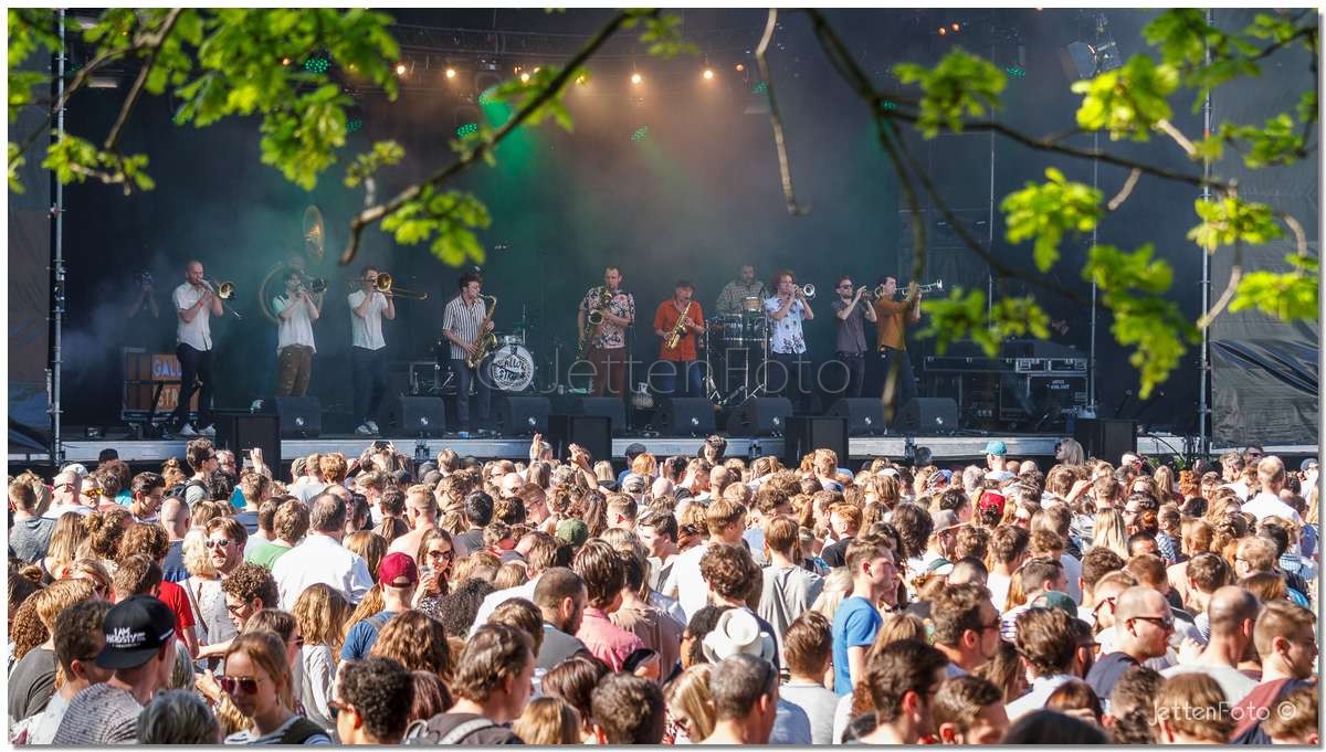 Bevrijdingsfestival 2018 - Rotterdam. Foto-31.